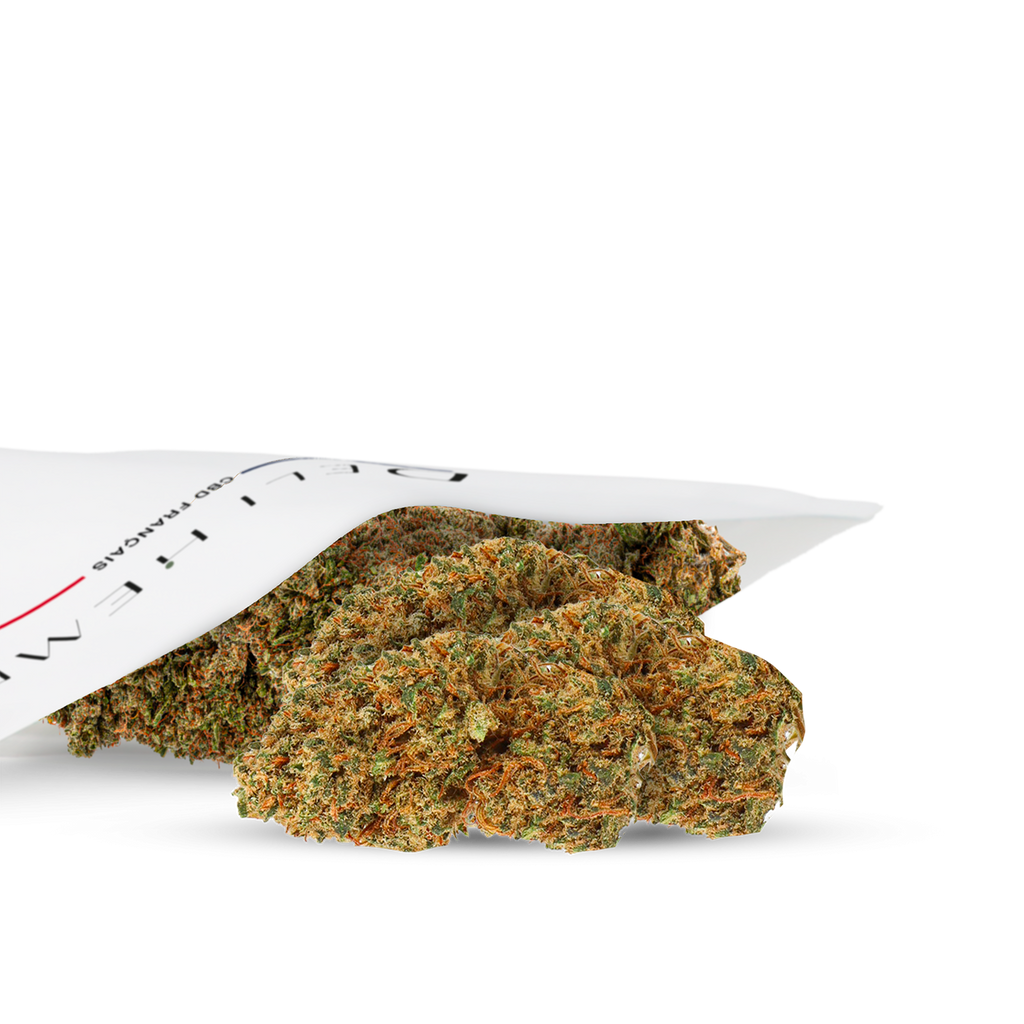 hydro mid bud