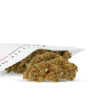 hydro mid bud