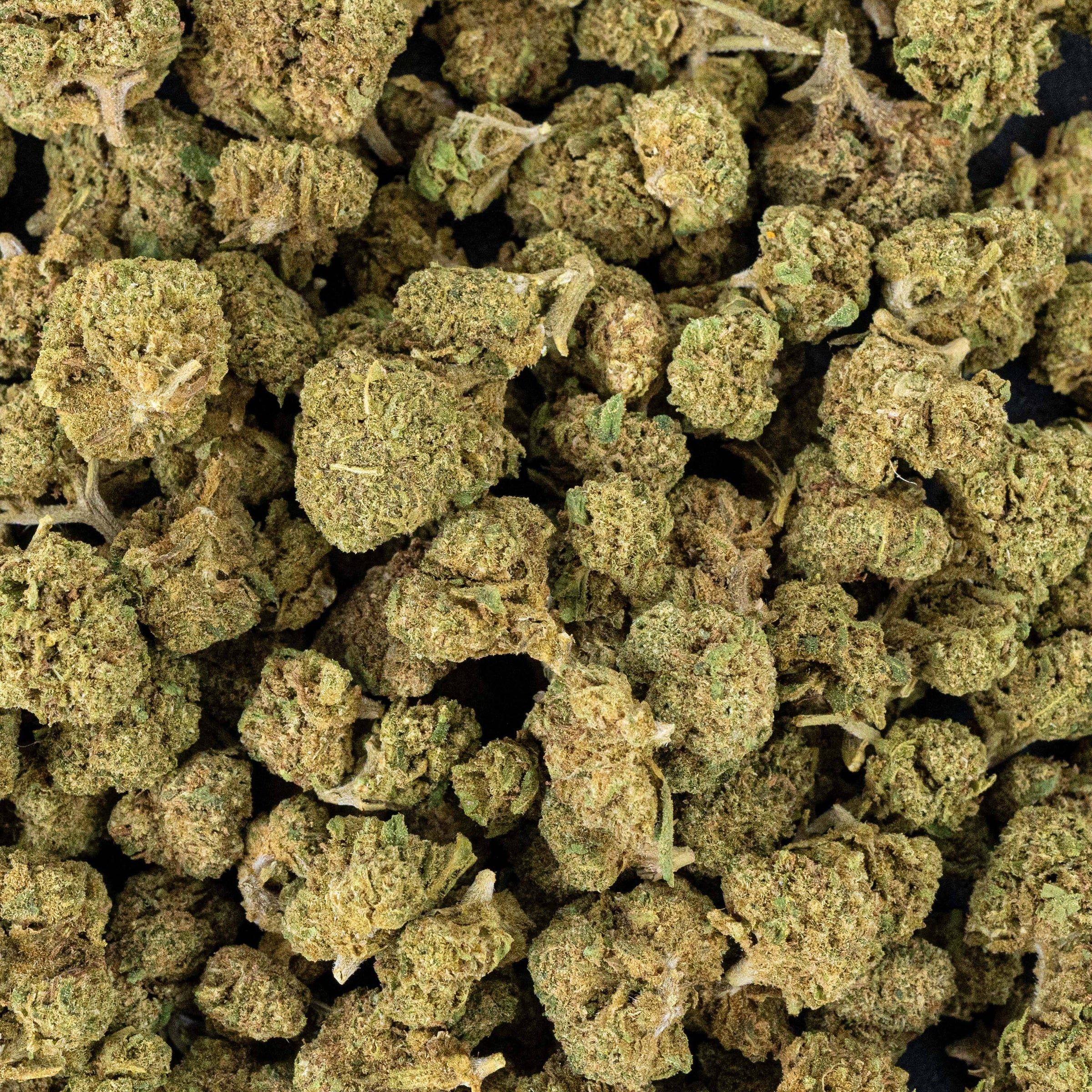 FLEURS CBD - ICE CREAM CAKE SMALL BUD - HYDRO