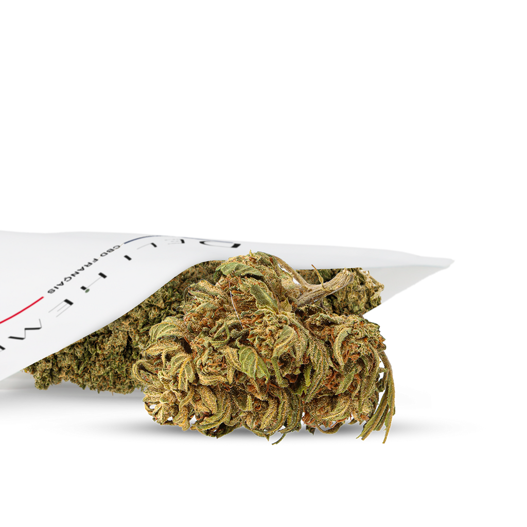 FLEURS CBD - JAMAICAN