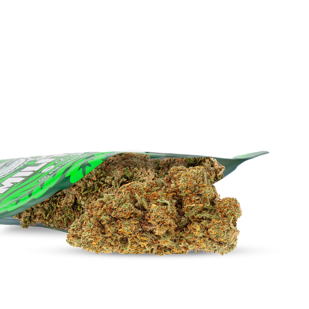 CANNAPARADE 2025