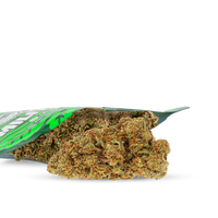 CANNAPARADE 2025
