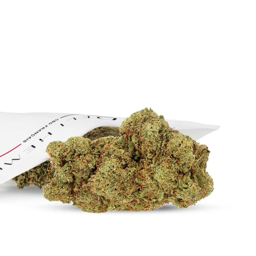 Culture hydro fleur cbd uruguay