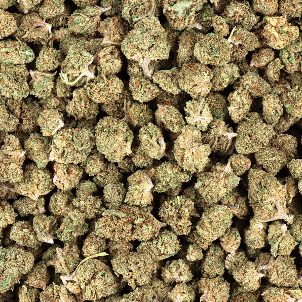 Small bud CBD hydro premium