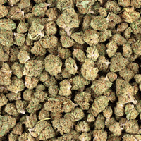 Small bud CBD hydro premium