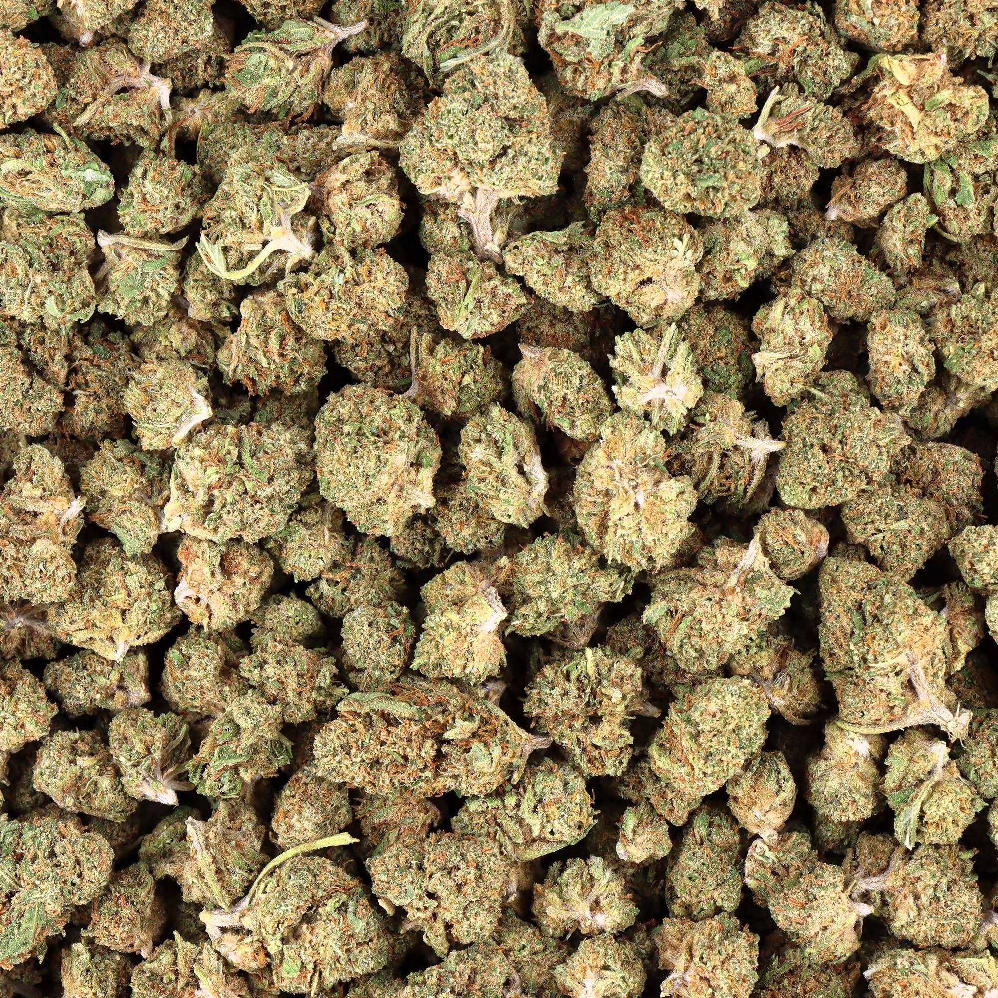 Small bud CBD hydro premium