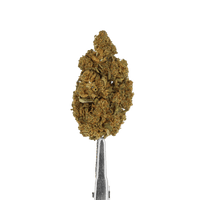 fleur cbd mango
