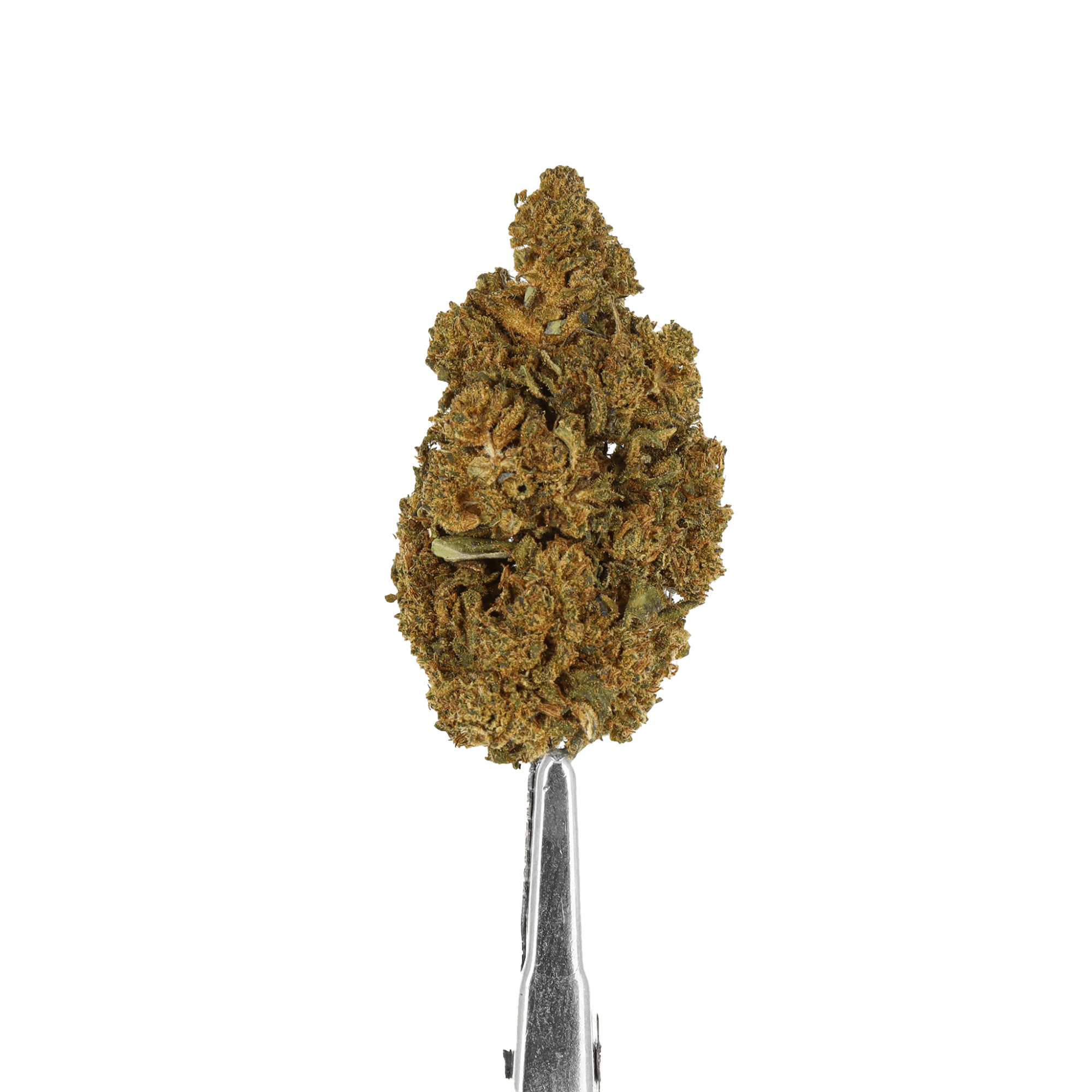 fleur cbd mango