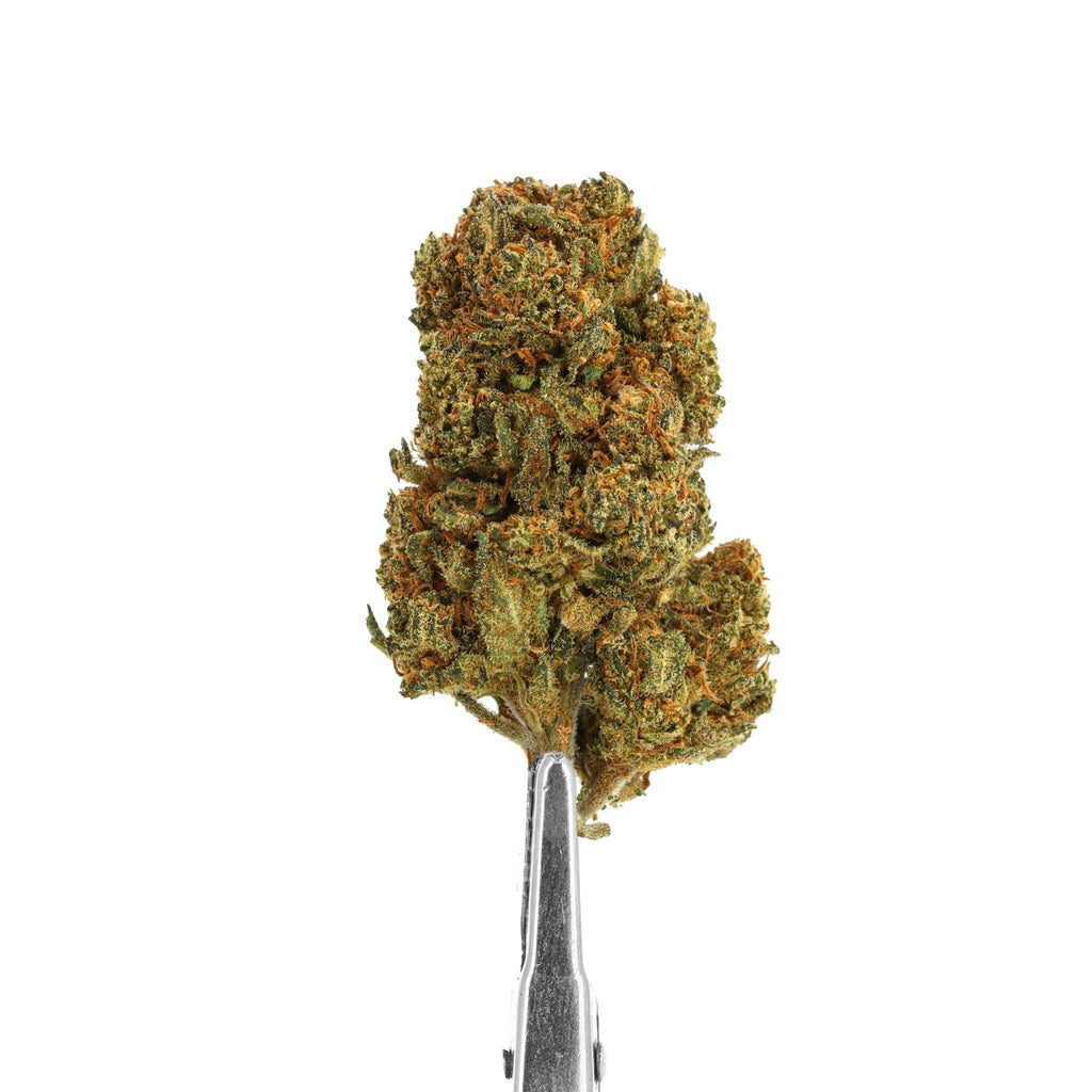 mango haze cbd