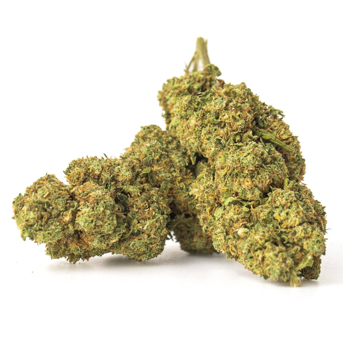 Fleurs de CBD Master Kush
