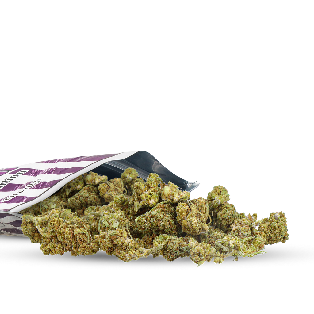 SMALL BUD INDOOR