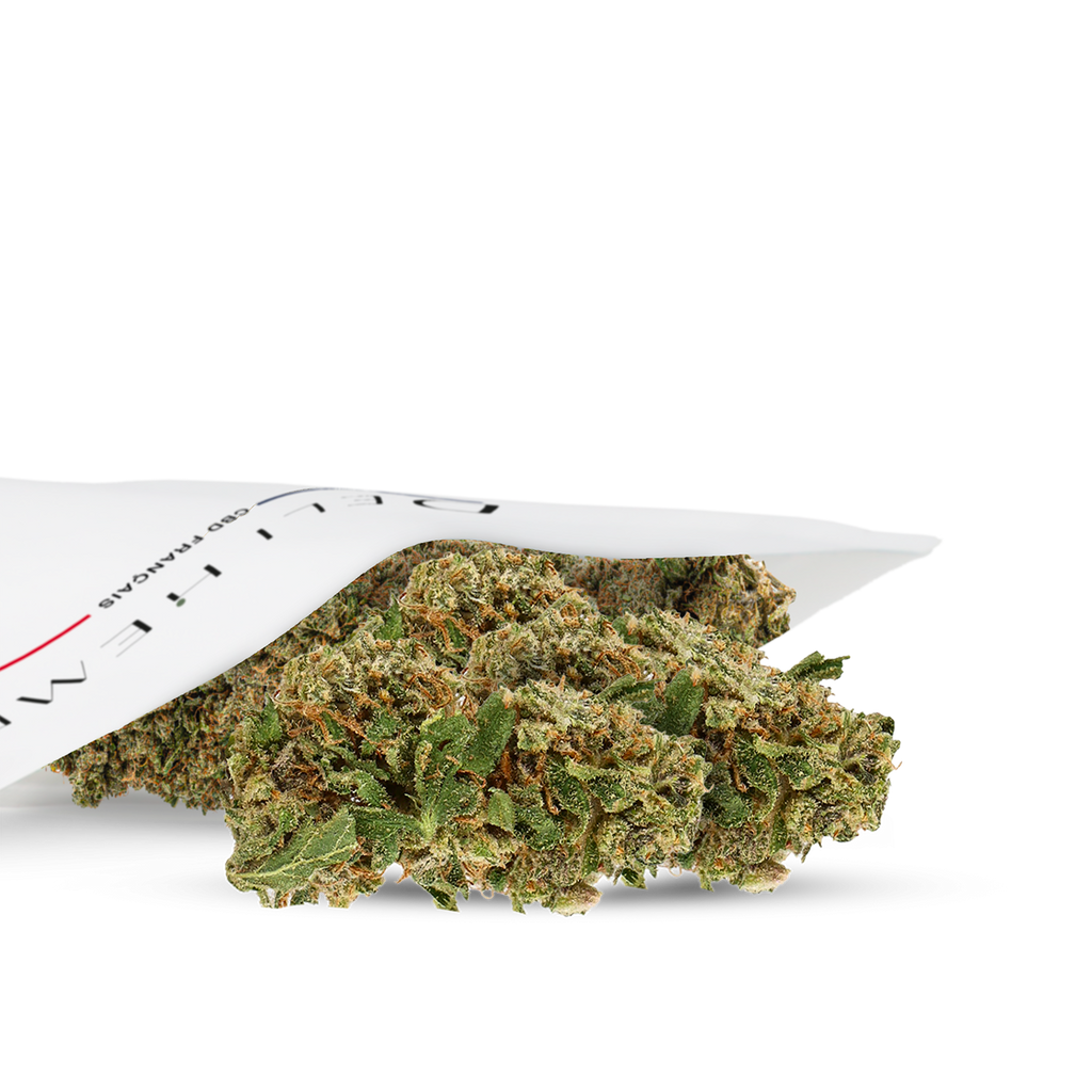 fleurs cbd premium