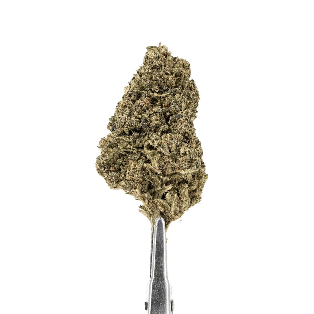 CBD Flower Oreoz