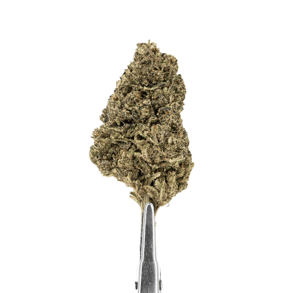 CBD Flower Oreoz