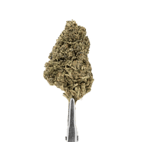 CBD Flower Oreoz