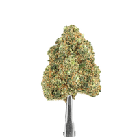 pineapple cbd hydro