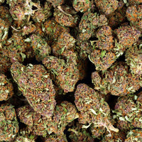 FLEURS CBD - PURPLE DREAM - EDITION HALLOWEEN (2)
