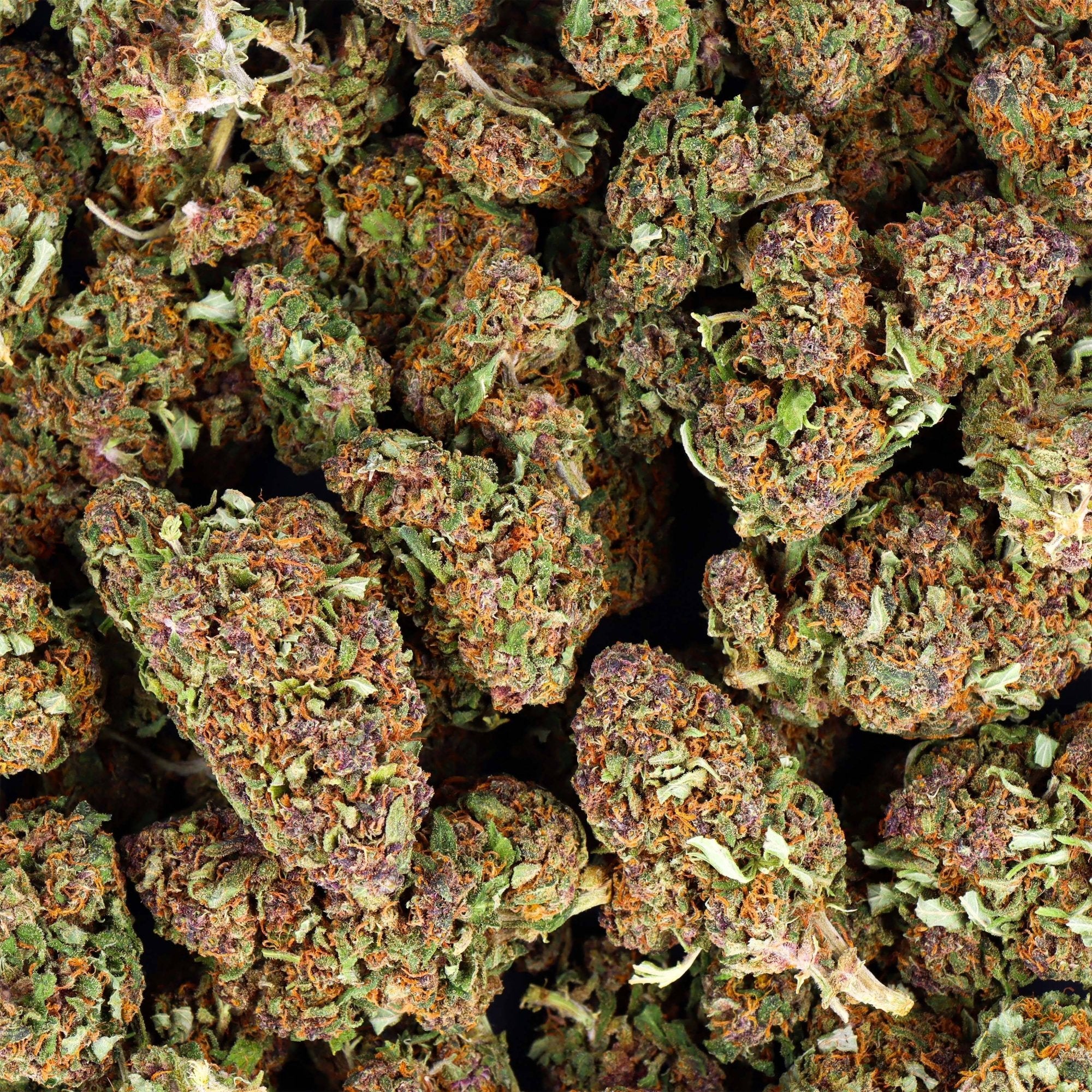 FLEURS CBD - PURPLE DREAM - EDITION HALLOWEEN (2)