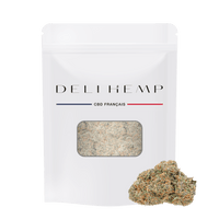 hydroponic cbd