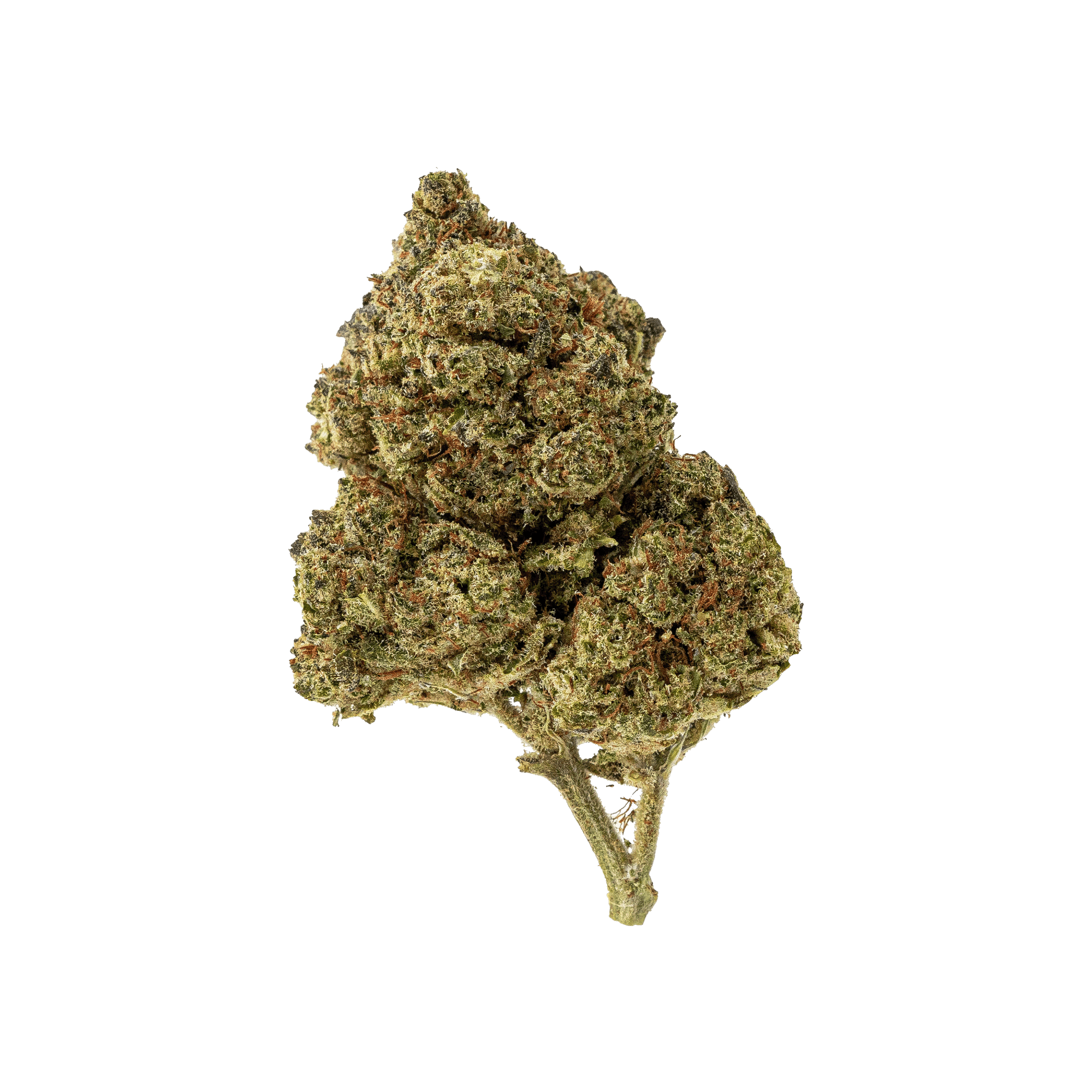 cbd hydro