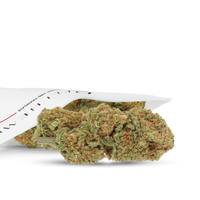 FLEURS CBD RS11 CBD - HYDROCULTURE - DELI HEMP (2)