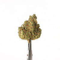 CBD Shortcake - hydroculture