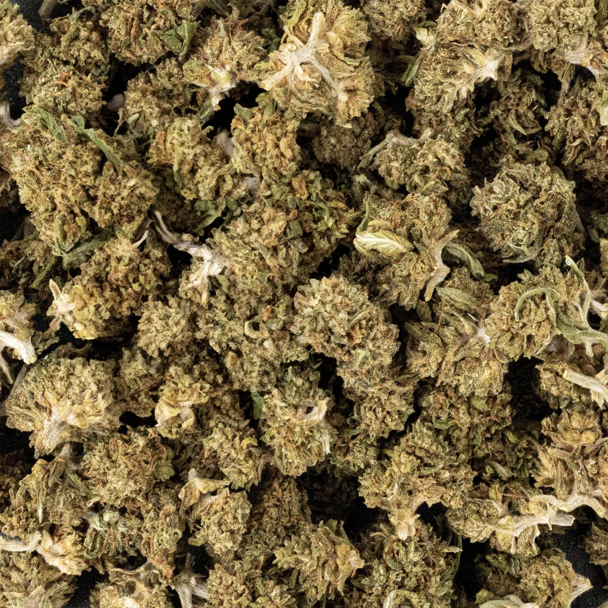SMALL BUD - SUPER SKUNK CBD