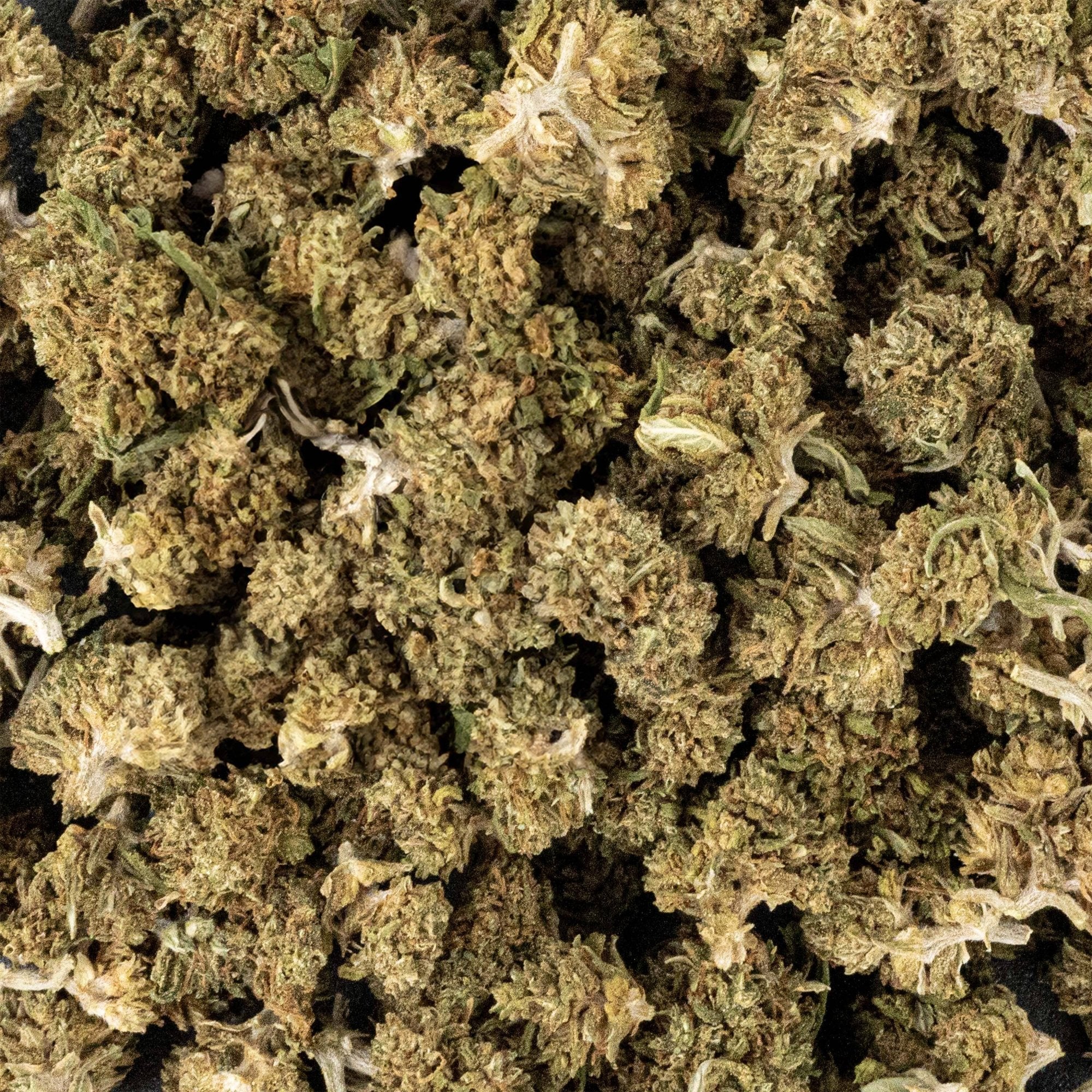 SMALL BUD - SUPER SKUNK CBD