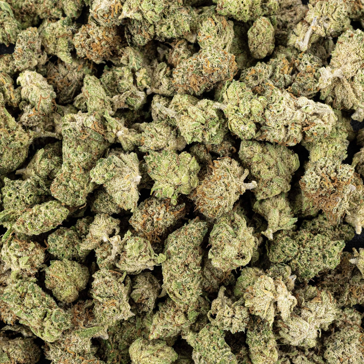 CBD SMALL BUD AMNESIA