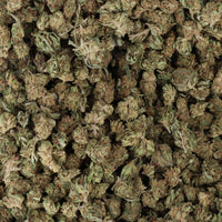 small bud amnesia