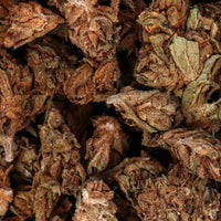 Cbd black diesel