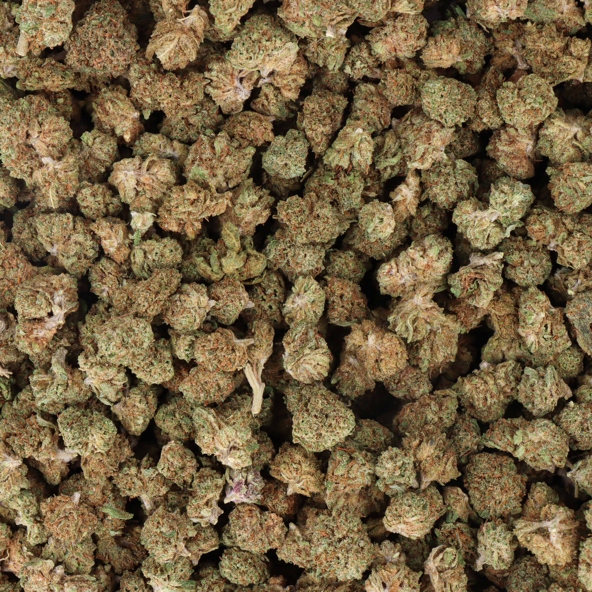 fleur cbd small bud