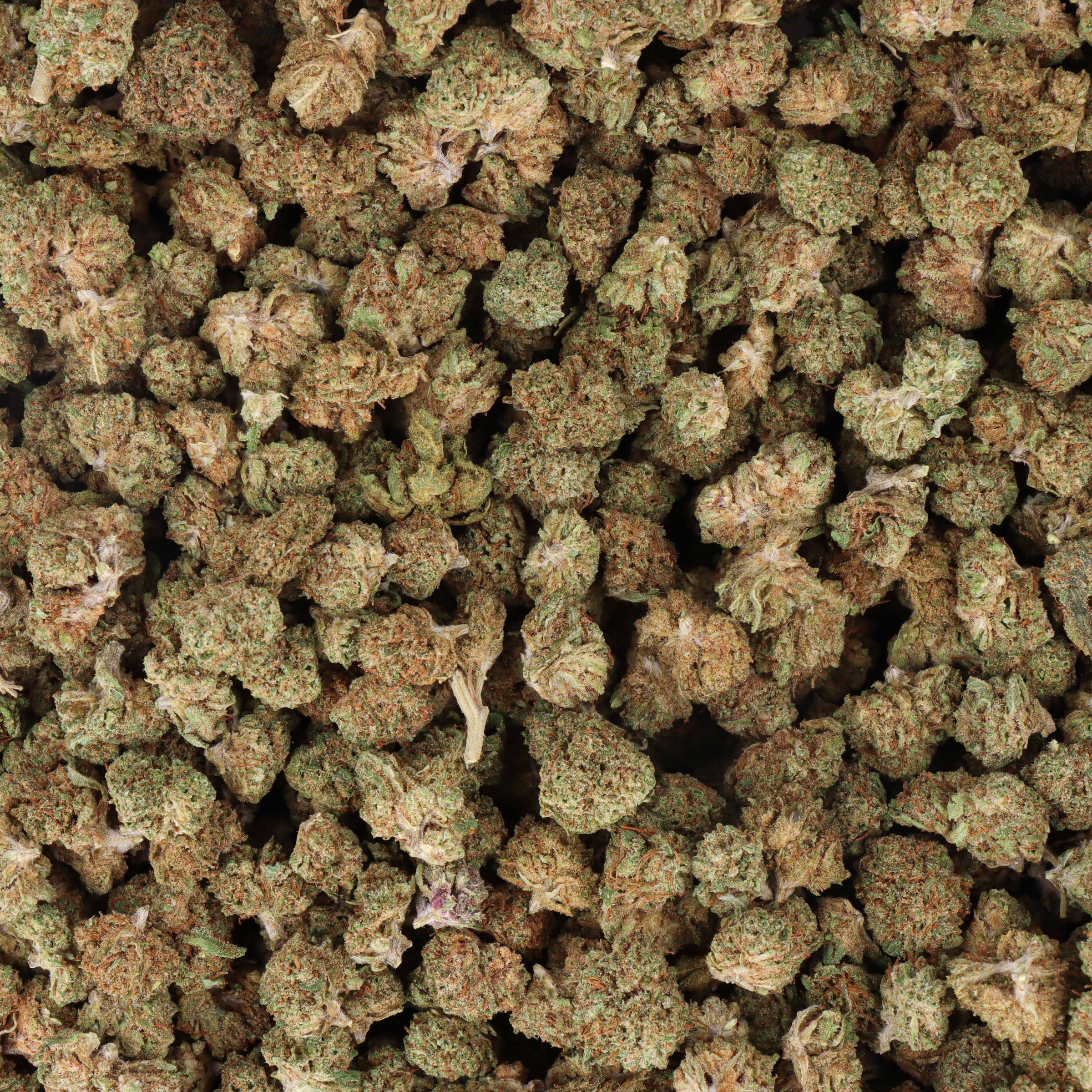fleur cbd small bud