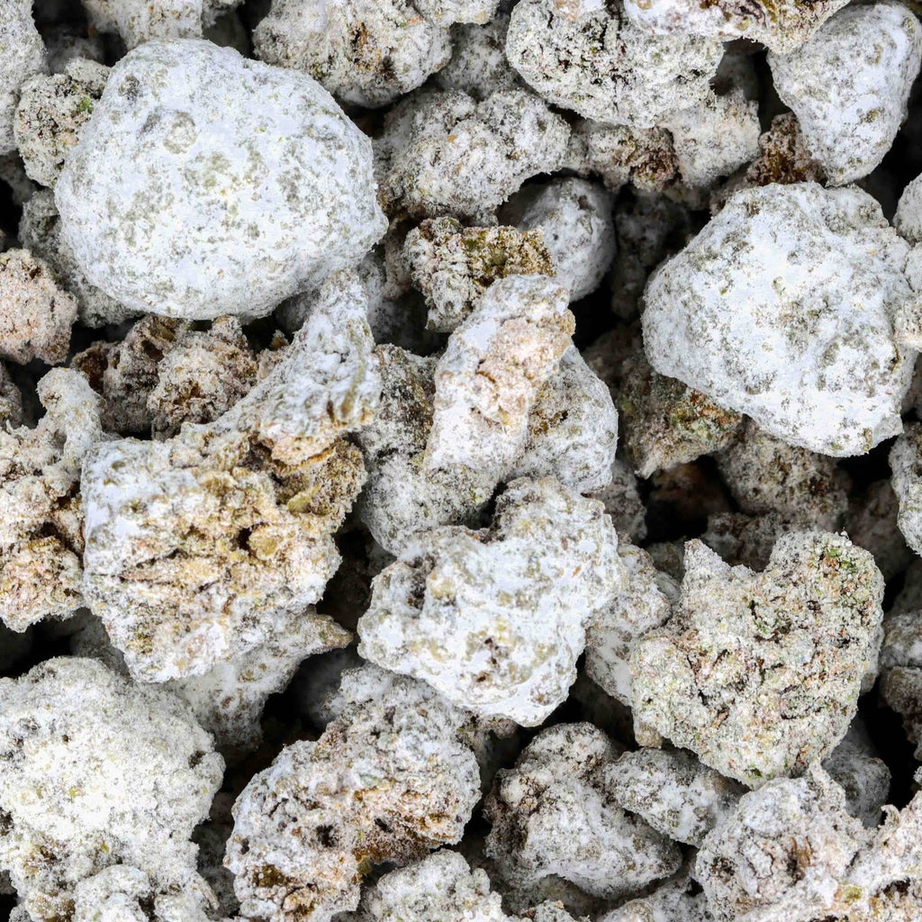 Fleurs CBD Small Bud - Deli White