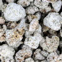 Fleurs CBD Small Bud - Deli White