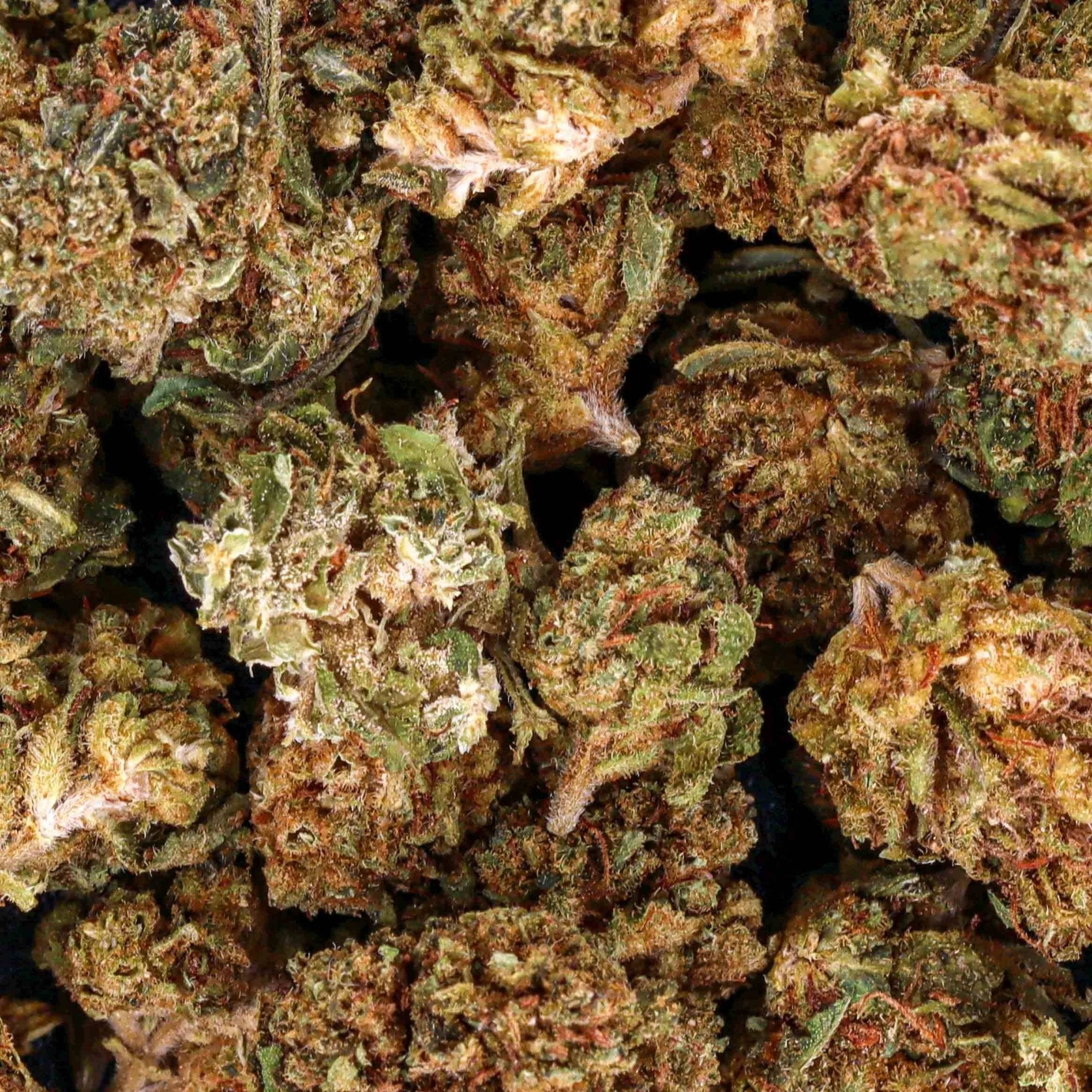 Cbd fruit berry