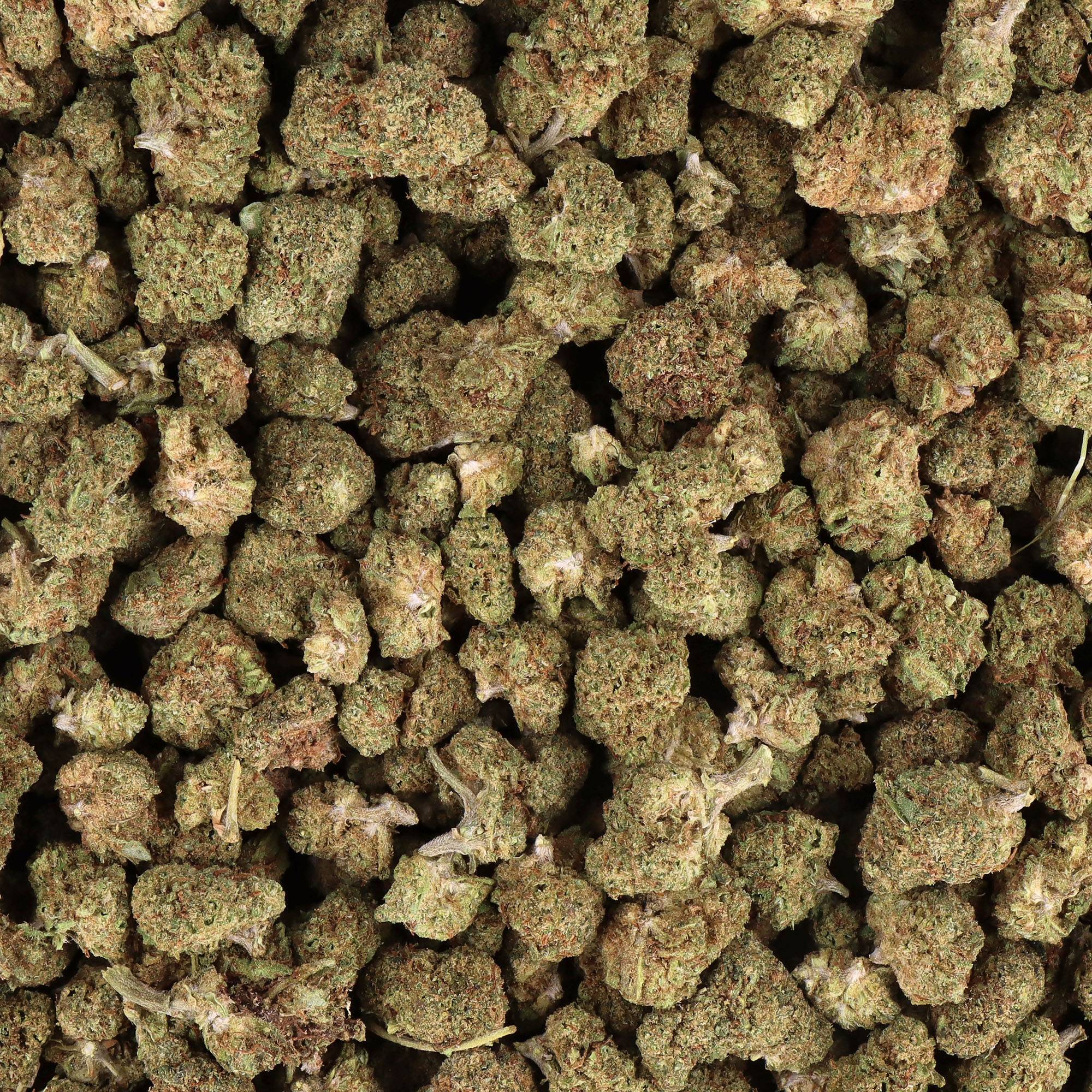 Small bud CBD