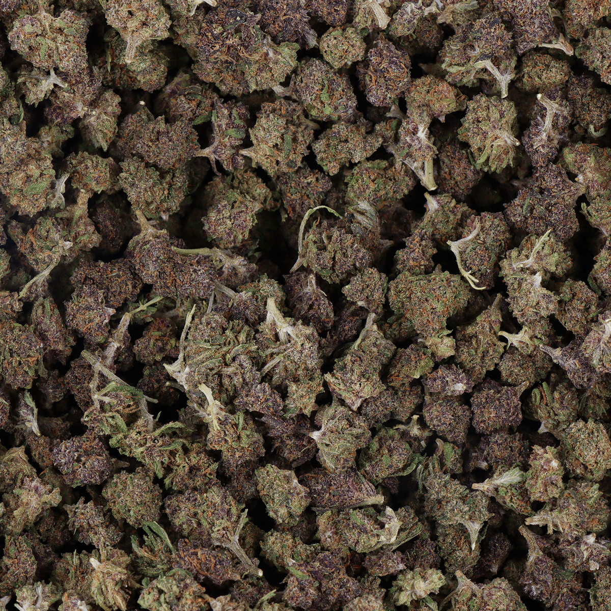FLEURS CBD - SMALL BUD PURPLE