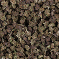 FLEURS CBD - SMALL BUD PURPLE