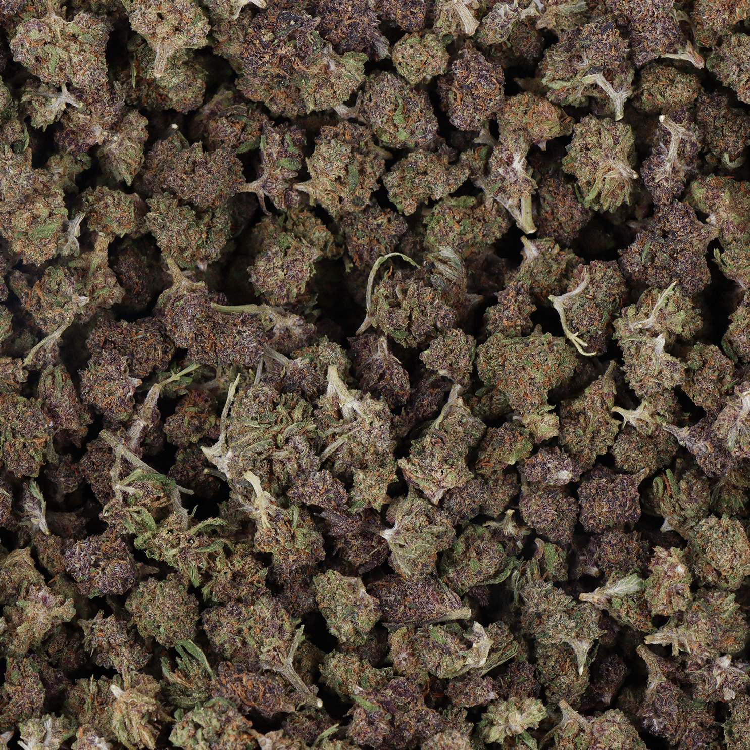 FLEURS CBD - SMALL BUD PURPLE