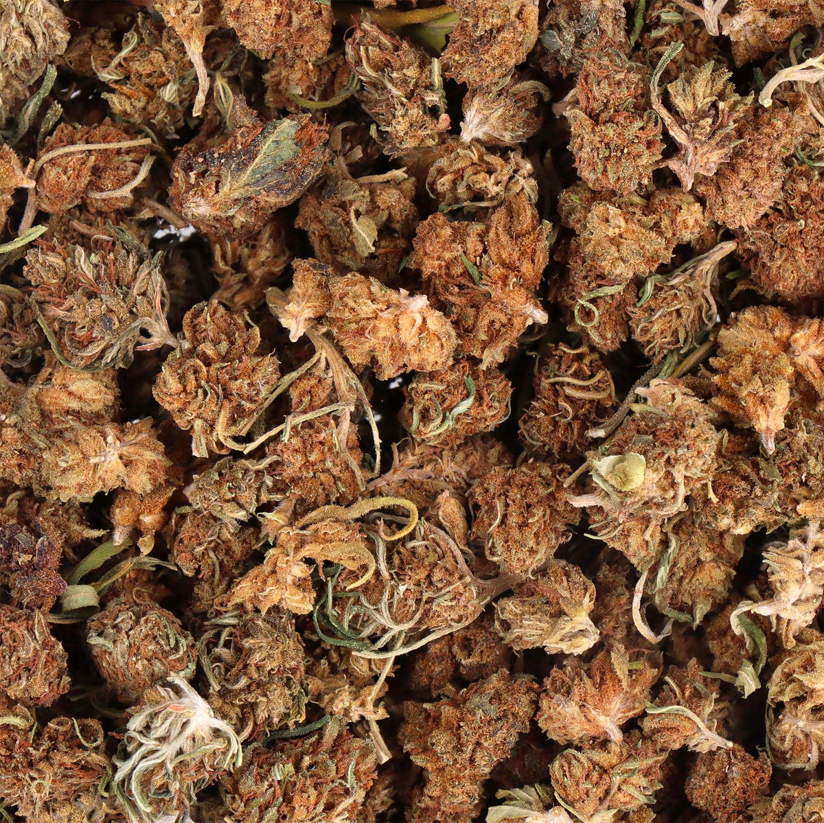 CBD SMALL BUD - WHITE WIDOW