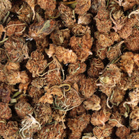 CBD SMALL BUD - WHITE WIDOW