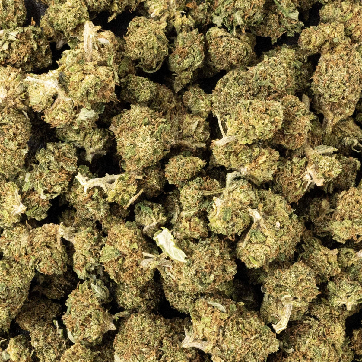 Cbd frutti