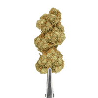 FLeurs CBD Vanilla