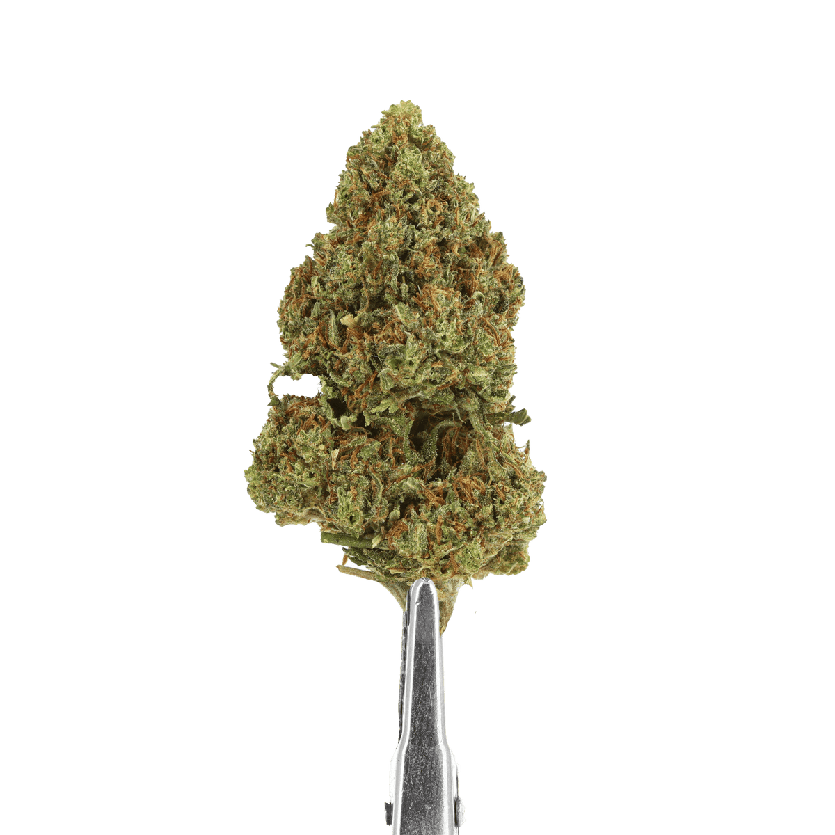 Cbd watermelon