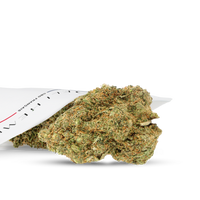 Hydro culture