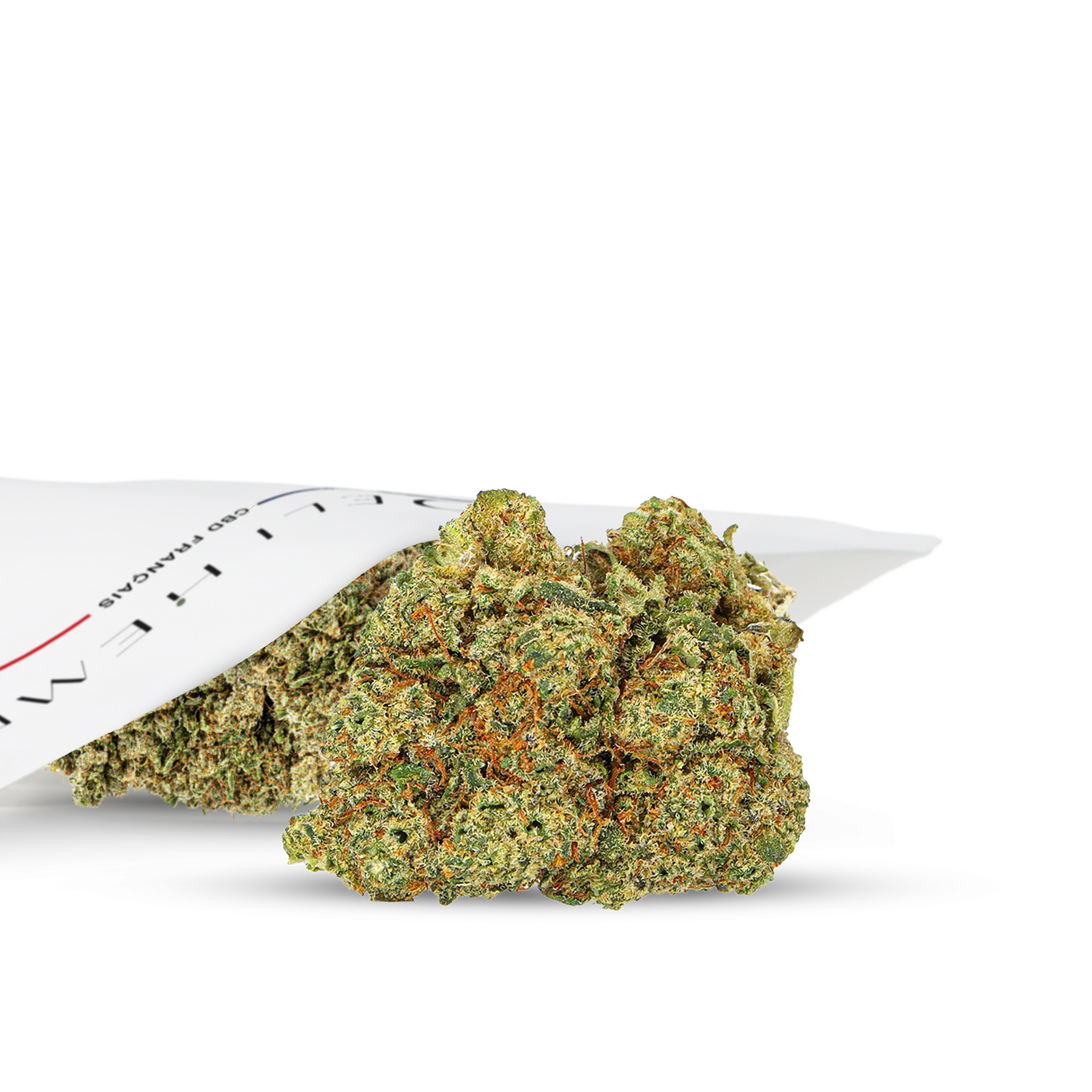 PHOTO FLEUR DE QUALITE