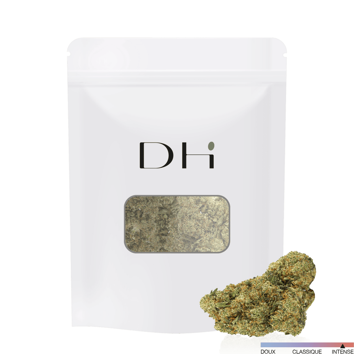 Fleur HDH Amnesia 3.0