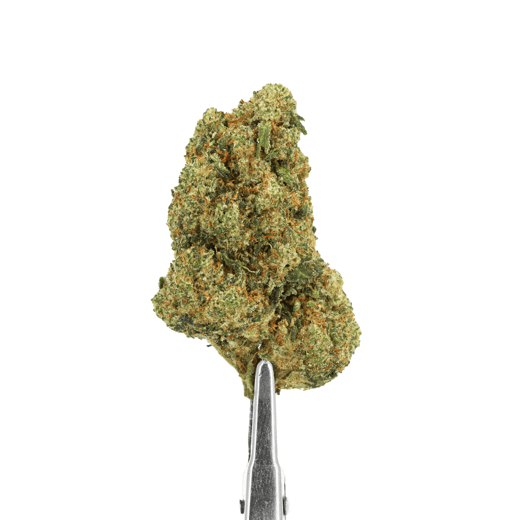 Fleur HDH 3.0 Amnesia `