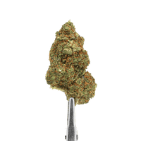 qualité fleurs